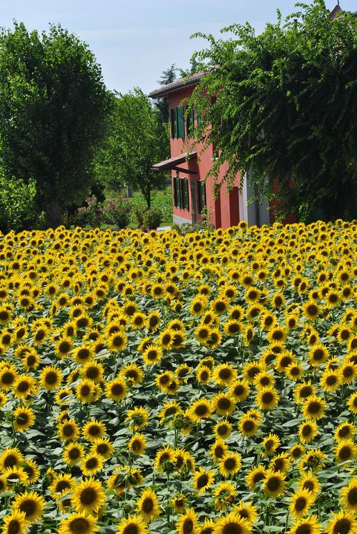 La Cascina B&B Calderara di Reno Exterior photo