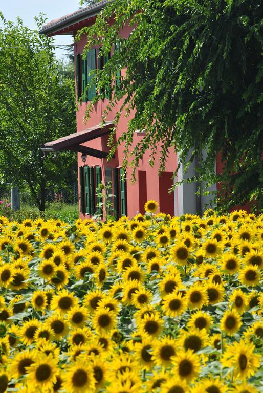 La Cascina B&B Calderara di Reno Exterior photo